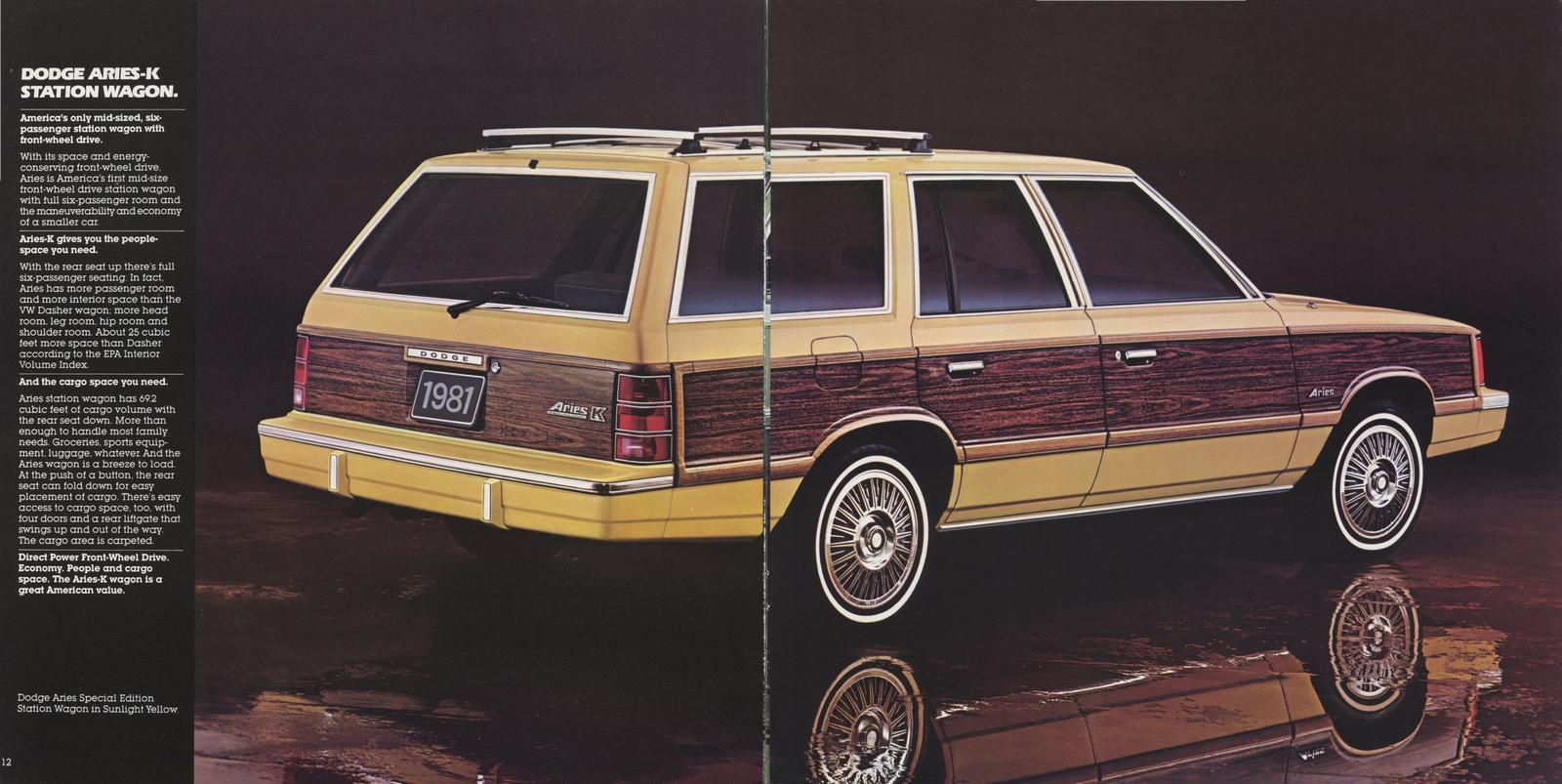 n_1981 Dodge Aries-12-13.jpg